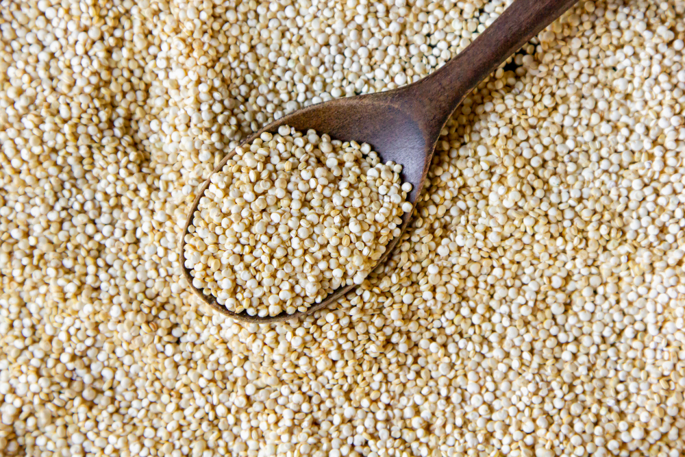 Pearl Millet