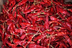 Dry Red Chilli